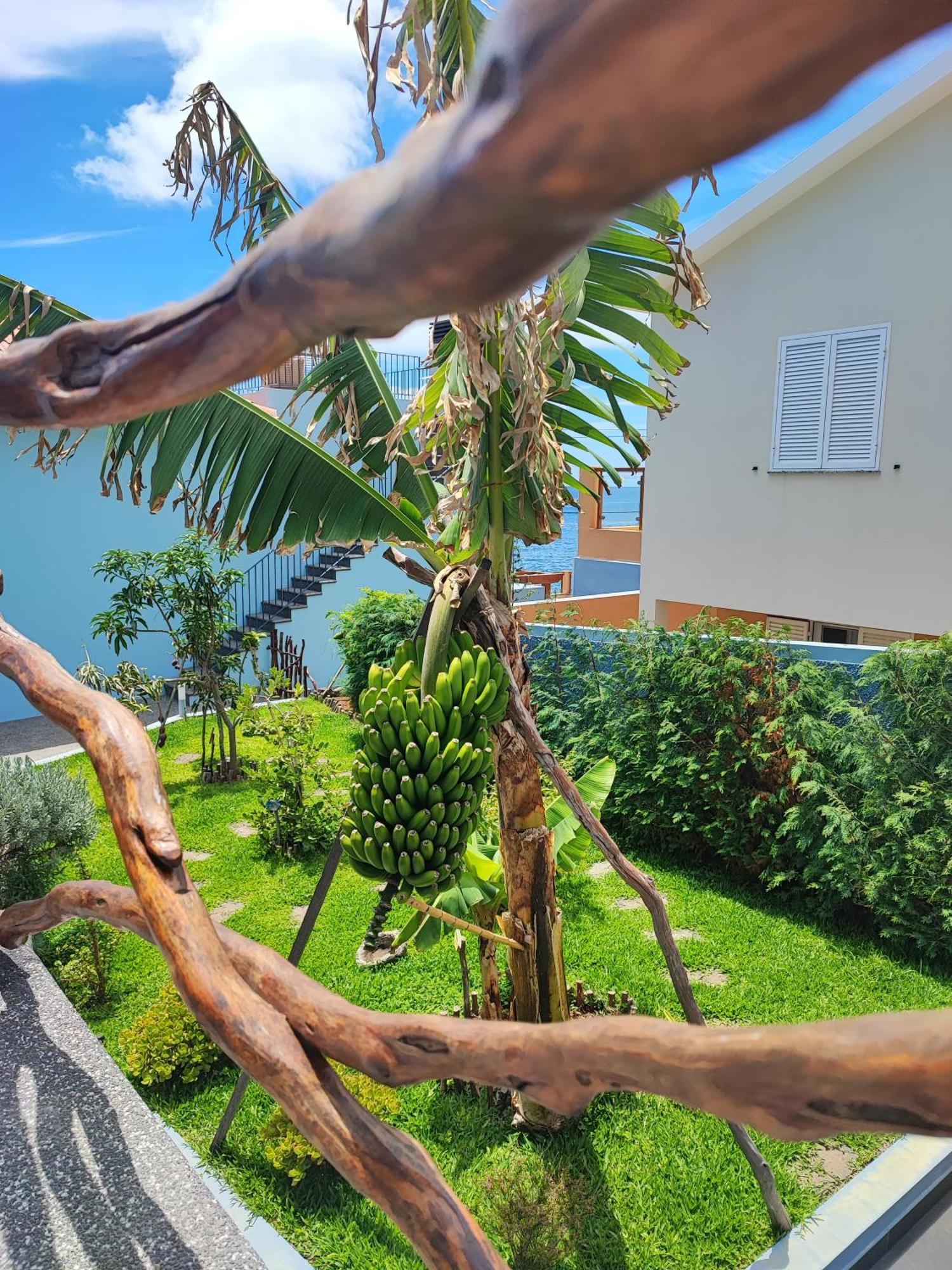 Cottage Pearl - Rural Holiday Experience By Seapearl بول دو مار المظهر الخارجي الصورة